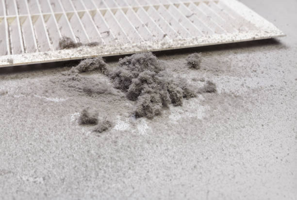 Best Home Air Vent Cleaning  in Surgoinsville, TN