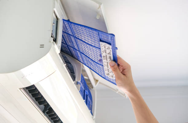 Best Local Air Duct Cleaning Services  in Surgoinsville, TN