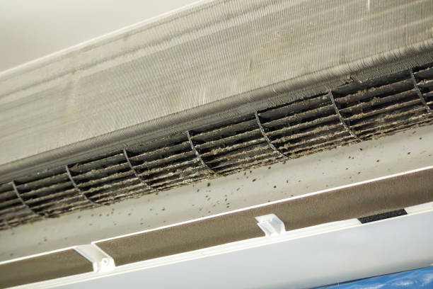 Best Affordable Air Duct Cleaning  in Surgoinsville, TN